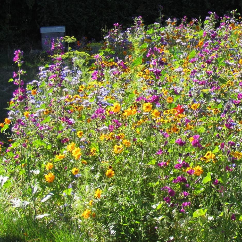Mélange fleurs de la nature abeilles et pollinisateurs